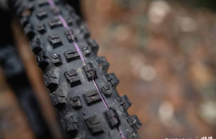 Schwalbe Albert Radial: approccio diverso, risultato definitivo! ⋆ Vojo