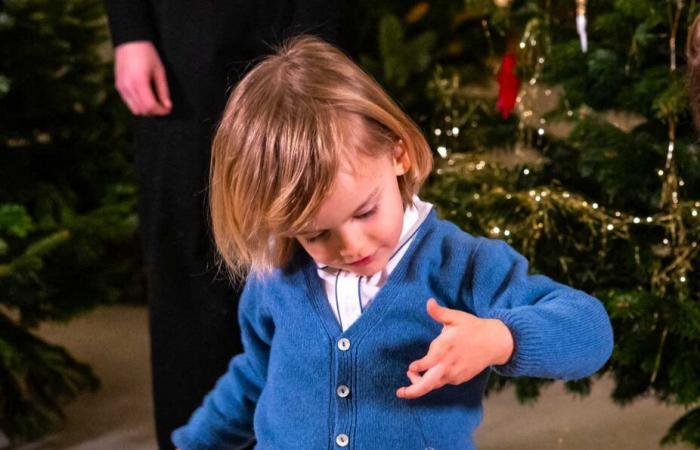 Gli 8 nipoti della regina Silvia si sono riuniti per addobbare gli alberi di Natale con la nonna