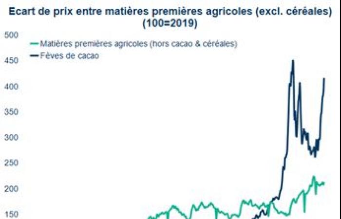 I prezzi del cacao aumentano del 50% prima delle vacanze