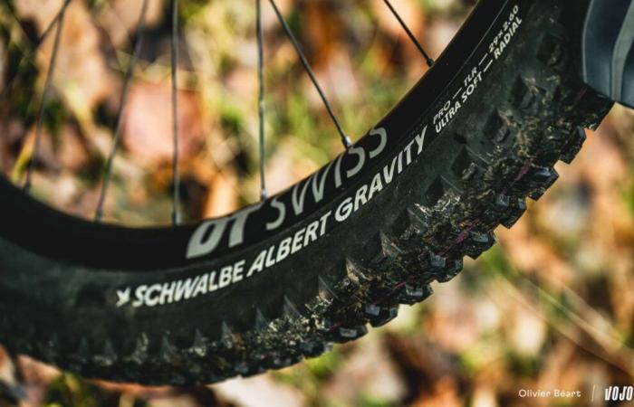 Schwalbe Albert Radial: approccio diverso, risultato definitivo! ⋆ Vojo