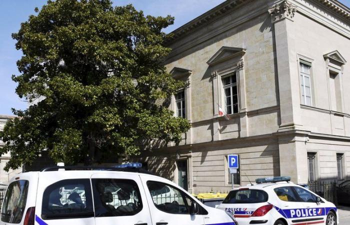 Aude Assise: tredici anni di reclusione penale per aver violentato le sue ex nuore minorenni a Narbonne