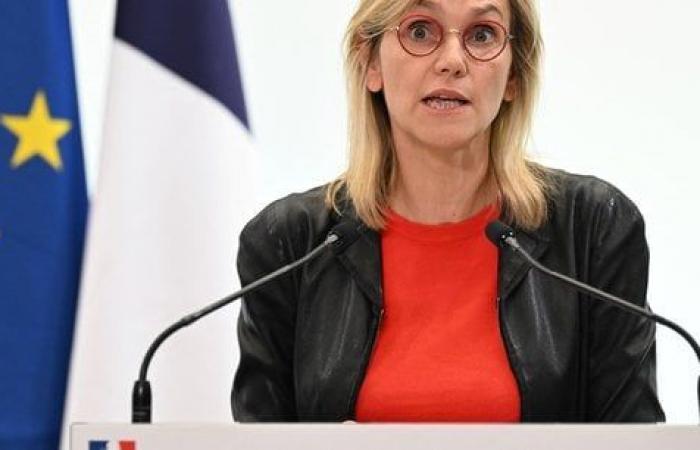 La Francia si oppone a un nuovo obiettivo sulle rinnovabili