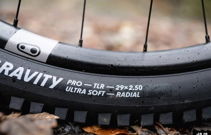 Schwalbe Albert Radial: approccio diverso, risultato definitivo! ⋆ Vojo