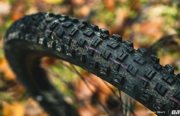 Schwalbe Albert Radial: approccio diverso, risultato definitivo! ⋆ Vojo