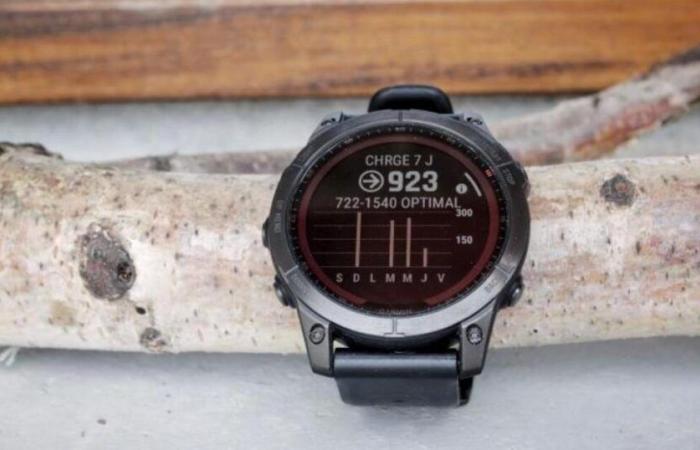 Non è un sogno, l'orologio connesso Garmin Fenix ​​​​7X Solar è in megasvendita al prezzo più basso su Amazon