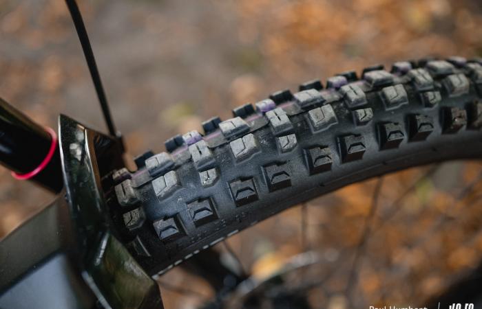 Schwalbe Albert Radial: approccio diverso, risultato definitivo! ⋆ Vojo