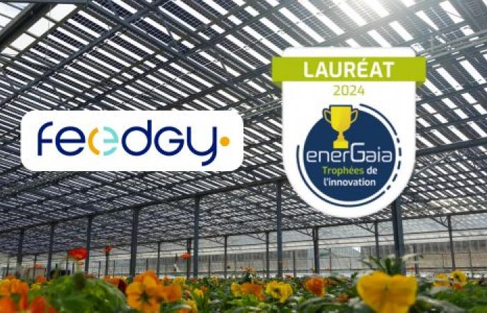 Feedgy premiata per le sue innovazioni: vincitrice del premio Deployability agli Innovation Trophies del Forum EnerGaïa