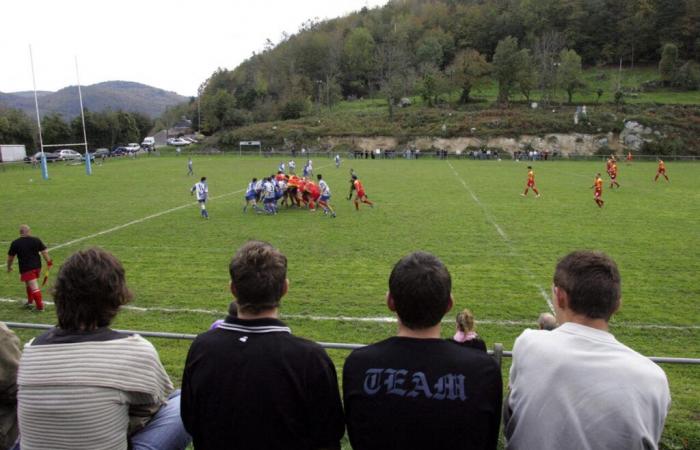 VIDEO. Durante una partita amatoriale di rugby, un giocatore è stato colpito in modo buffo da… un cervo!