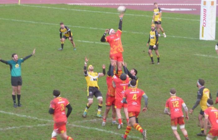 Foix. Rugby: vincono le squadre senior