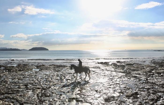 Costa Rica | Un piccolo paradiso ben progettato