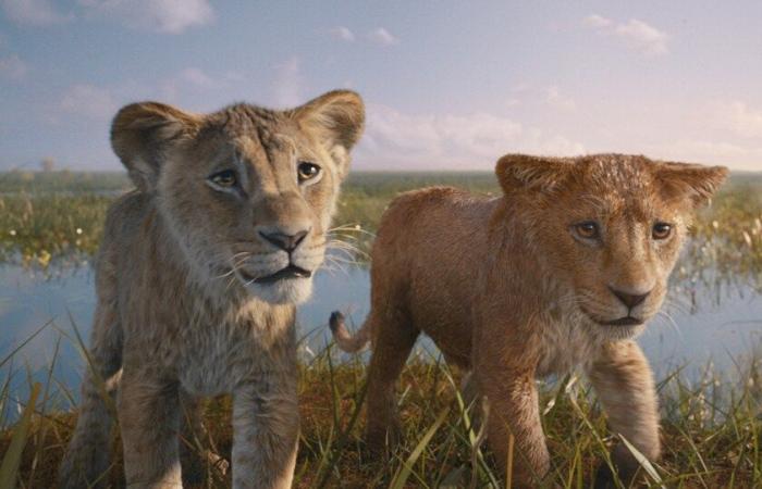 Mufasa – Il re leone sempre al primo posto – Il box office di venerdì 20 dicembre