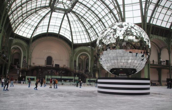 le migliori piste di pattinaggio da provare assolutamente a Parigi e nell'Île-de-France