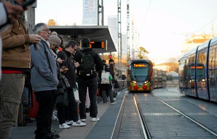 Frequenza, qualità del servizio, sicurezza: qual è il bilancio a un anno dall'avvio della gratuità dei trasporti pubblici a Montpellier?