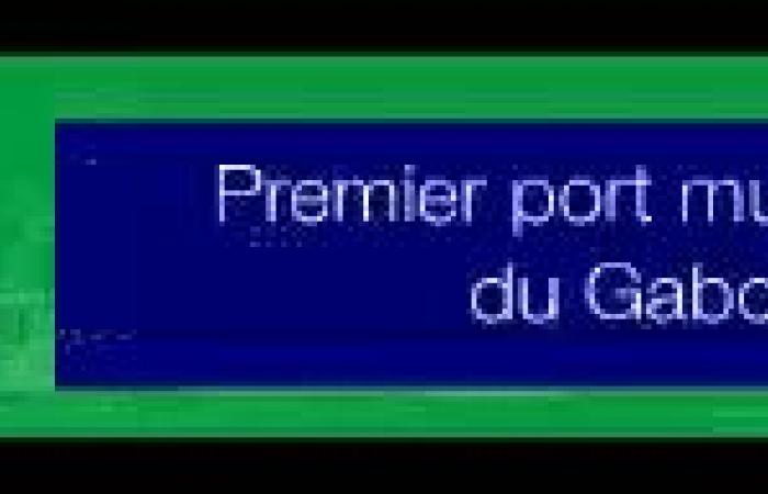 Lotta contro l'HIV: distribuiti 194 buoni CD4 e carica virale | Gabonmediatime.com