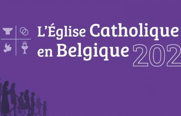 3.574.925 ore di volontariato registrate all'interno della Chiesa del Belgio