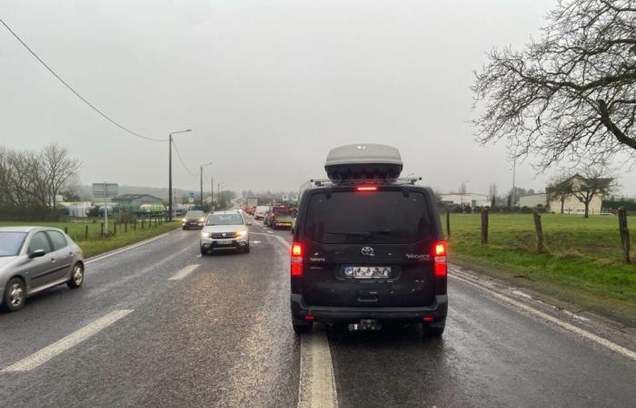 Ingorghi enormi a Montigny dopo l'incidente di un camion che trasportava 150 suini