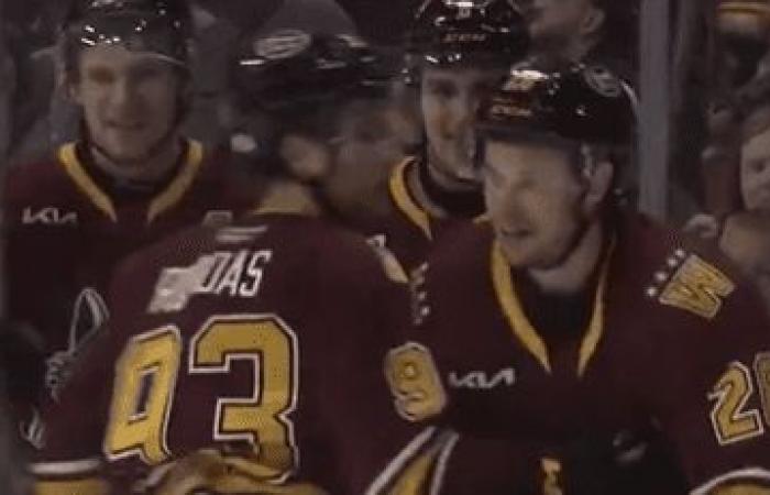 A 26 anni, il quebecchese Jordan Martel segna due gol nella sua prima partita in AHL!