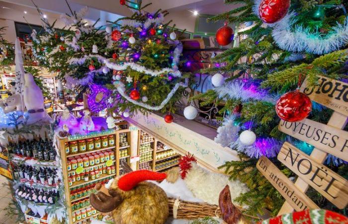 Immergetevi nel cuore delle tradizioni per festeggiare l'olio di Natale a Oulibo vicino a Narbonne