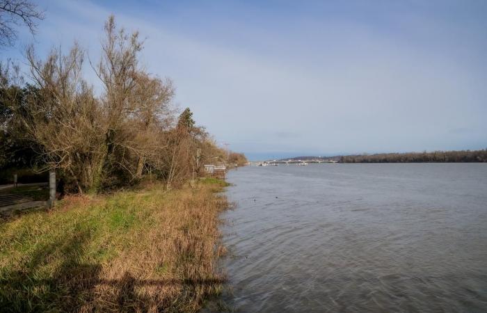 “Era un pozzo nero!” » Come ha fatto il centro commerciale Rives d’Arcins, a Bègles, a diventare una “finestra verde sulla Garonna”?