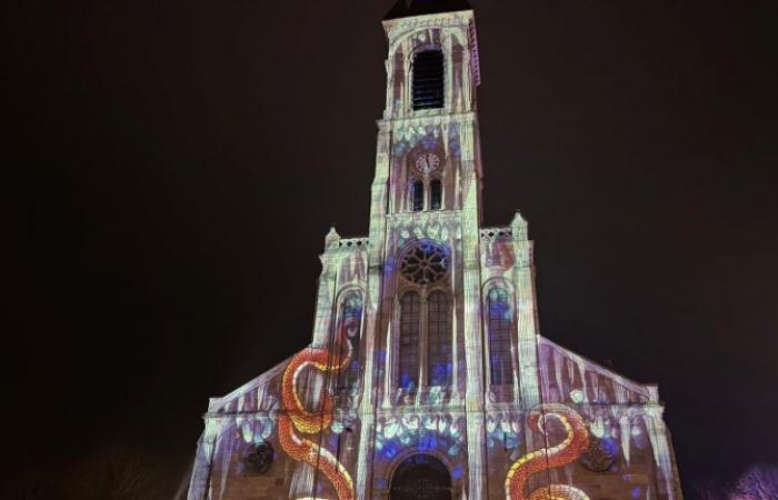 Con la sua “Foresta Incantata”, Sundgau prolunga la magia del Natale fino al 5 gennaio!