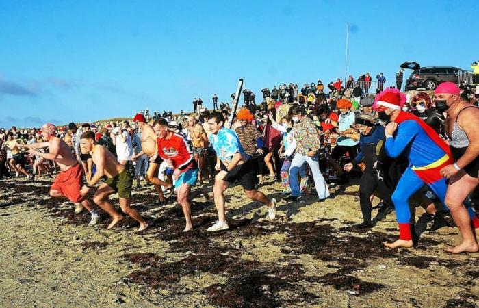 Il nuoto dei leoni marini, Babbo Natale in barca, il mercato medievale… Le nostre idee per le escursioni questo fine settimana nella regione di Vannes e Auray