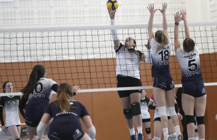 Pallavolo. N2F: dopo la splendida vittoria contro il Vézily, l'Angers è sempre più vicino al mantenimento