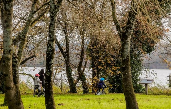 “Era un pozzo nero!” » Come ha fatto il centro commerciale Rives d’Arcins, a Bègles, a diventare una “finestra verde sulla Garonna”?