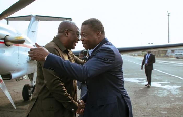 Presidente eletto del Ghana, Mahama in tournée nell'Africa occidentale | APAnews