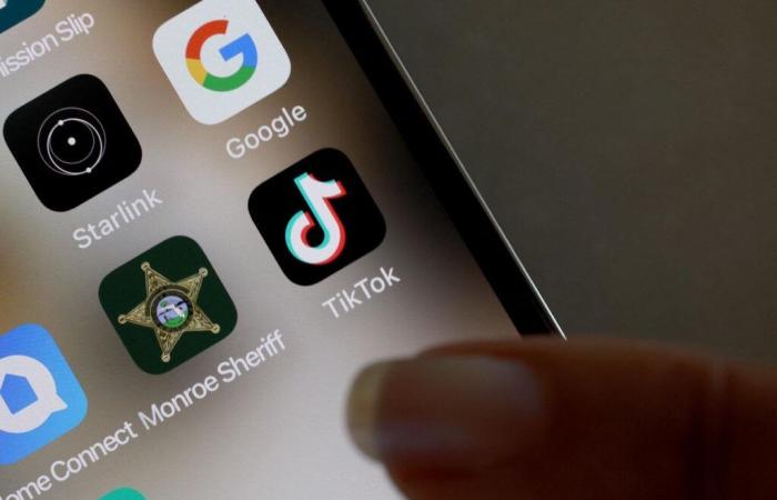 L’Albania chiuderà TikTok per almeno un anno