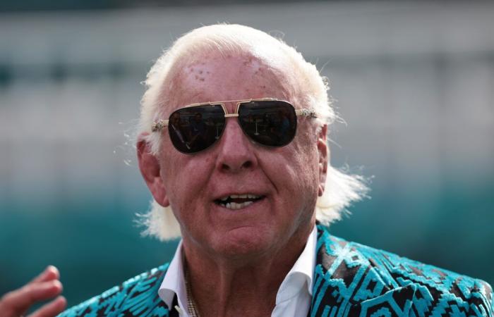 Ric Flair vuole indietro 2 milioni di dollari