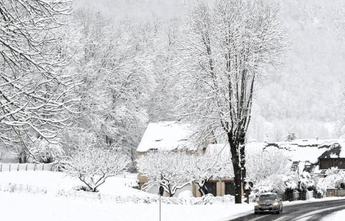 Il giorno più corto dell'anno, giornate che iniziano ad allungarsi, fine autunno… questo sabato cade il solstizio d'inverno