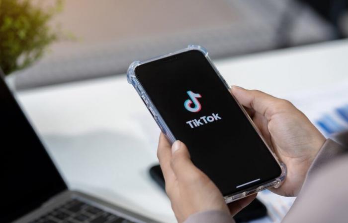 TikTok è vietato in questo Paese europeo: il social network è un “canaglia”