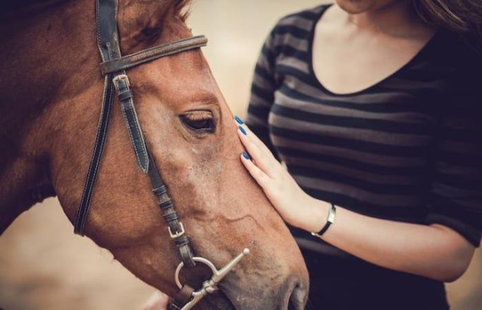 Quattro anni dopo la tragica morte del padre, una donna cavalca coraggiosamente il cavallo coinvolto in un incidente