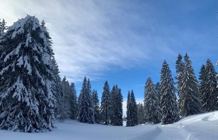 L'arco del Giura sotto la neve all'avvicinarsi del Natale