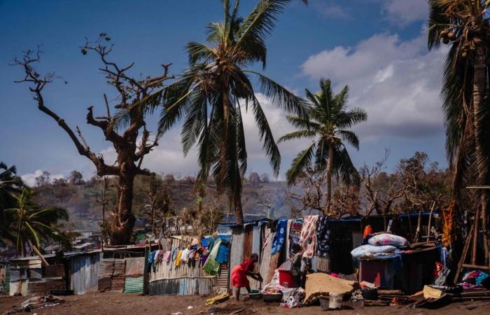 Mayotte | Una settimana dopo il ciclone Chido, i residenti stanno ancora aspettando aiuto