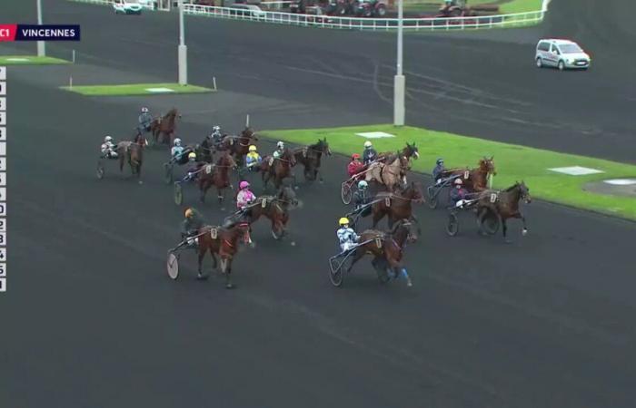 PRIX DES FREESIAS – PARIGI-VINCENNES – 20/12/2024: partenti, pronostici e risultati in video – Gara 1