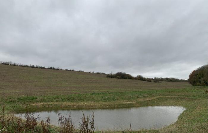 Uno sviluppo per trattenere l'acqua piovana ed evitare le inondazioni in questo villaggio della Senna Marittima