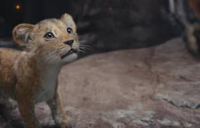 “Mufasa: il Re Leone”: 3 domande a William Cloutier e Patrick Emmanuel Abellard