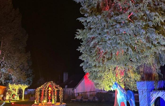 Con la sua “Foresta Incantata”, Sundgau prolunga la magia del Natale fino al 5 gennaio!