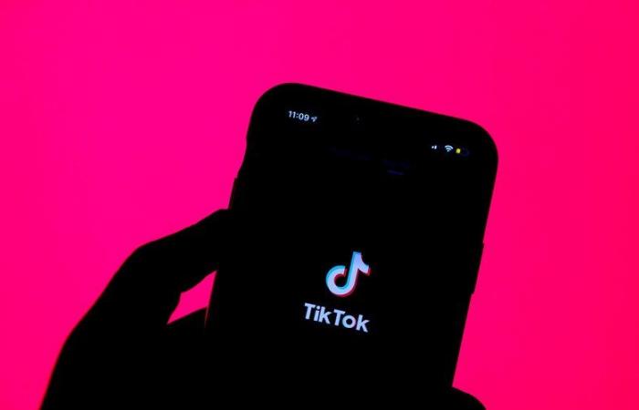 “TikTok è il delinquente del quartiere”, dopo la morte di un adolescente di 14 anni, l’Albania annuncia il divieto dell’applicazione per un anno