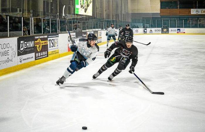 D1: il Brest Albatros piega nell'ultimo terzo contro il Tours