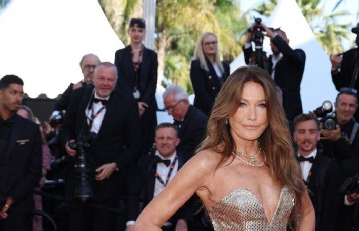 “A differenza di Carla Bruni, non salto i pasti”: questo personaggio difende i “chili di troppo”