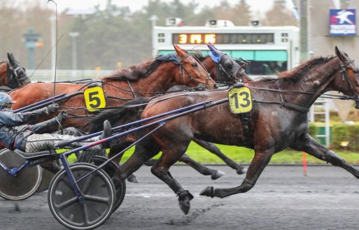 PMU – Arrivo del quinte sabato 21 dicembre a Parigi-Vincennes: giornata da sogno, anche sotto la pioggia