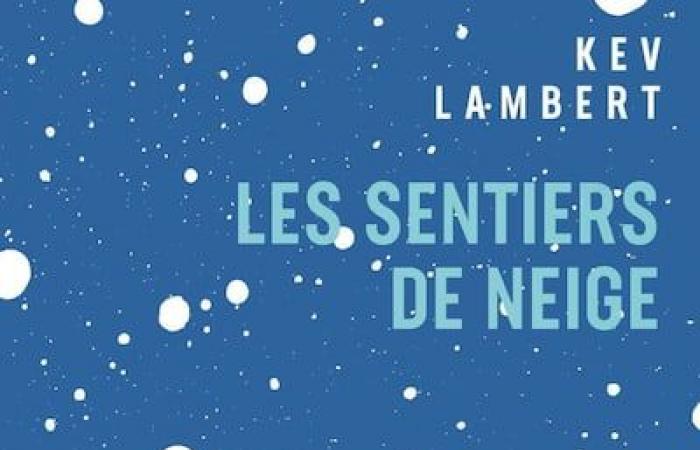 Ecco 10 libri del Quebec da infilare sotto l'albero di Natale