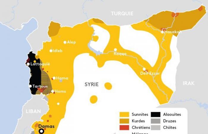 : Ampia intervista Dopo la caduta di Bashar al-Assad, “c'è davvero il desiderio di superare la frammentazione della comunità”, secondo uno specialista della Siria