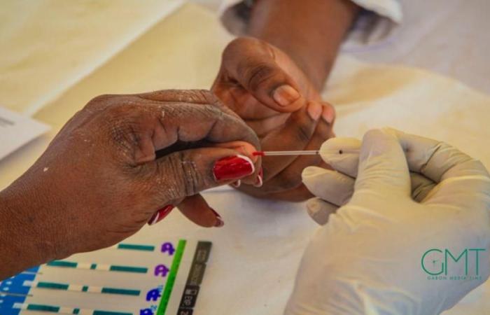 Lotta contro l'HIV: distribuiti 194 buoni CD4 e carica virale | Gabonmediatime.com