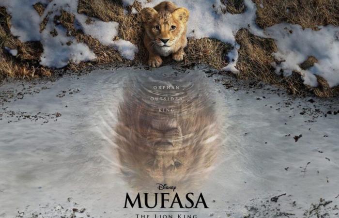 QUESTIONI DI CINEMA Le origini di Mufasa – Il Golfo 24