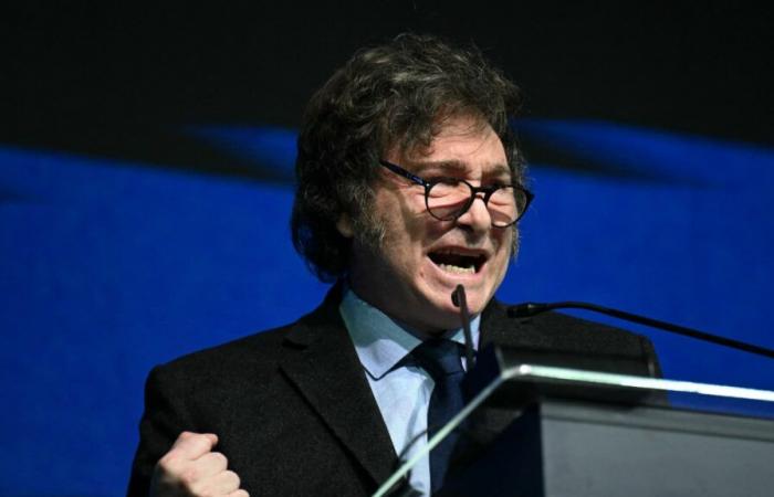 Il presidente argentino Javier Milei vuole promuovere l'energia nucleare