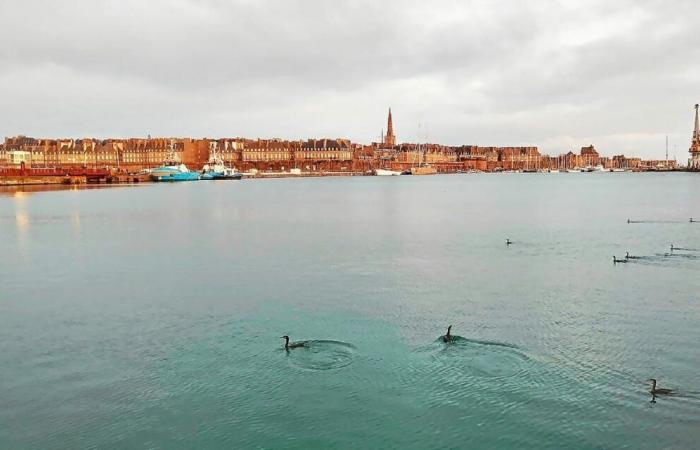 Idee per gite in famiglia durante le vacanze di Natale a Saint-Malo