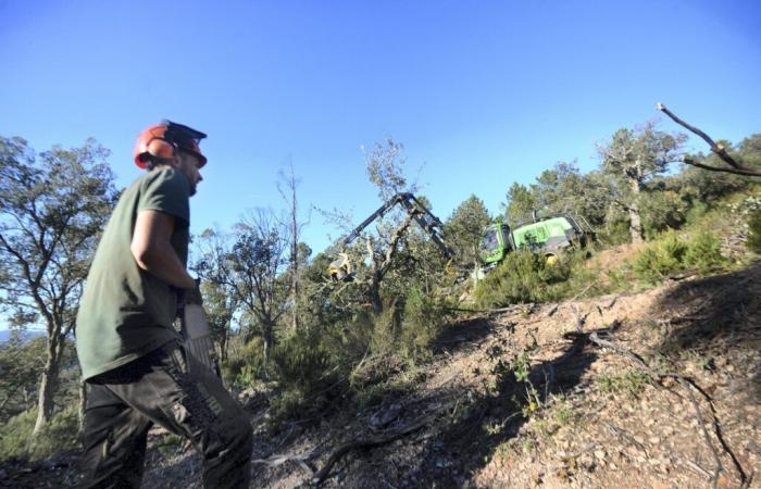 Anche in inverno la lotta contro gli incendi si svolge nei boschi dell'Est-Var